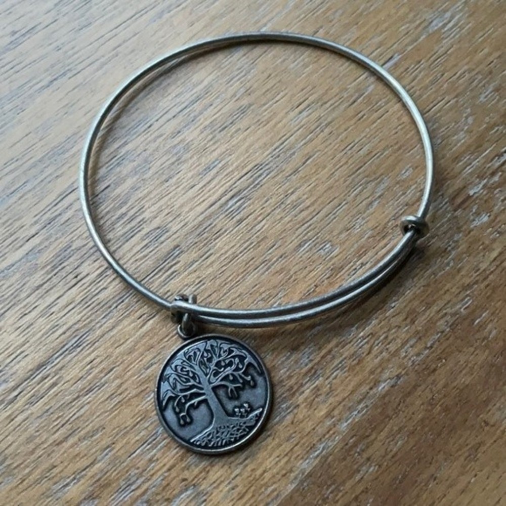 Alex and Ani Tree of Life Charm Bracelet 🌿